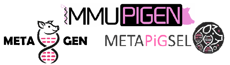 Immupigen, Metapigen, & Metapigsel